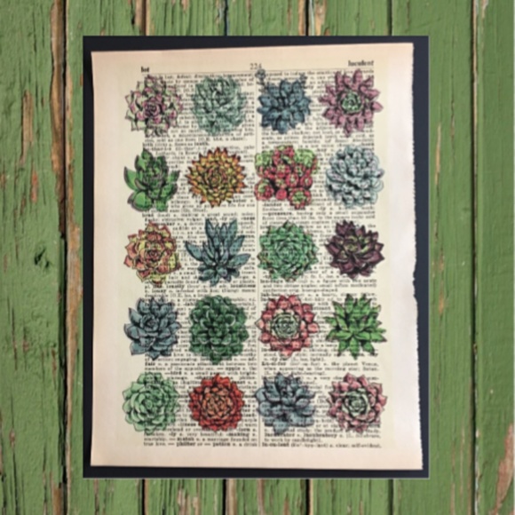Vintage Dictionary Page Print- Succulents - Picture 1 of 1